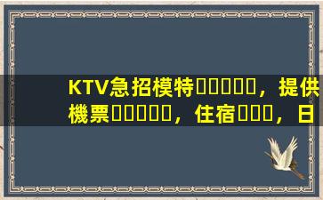 KTV急招模特，提供機票，住宿，日結
